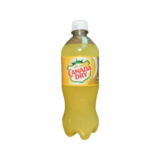 [Temp-INT-01621] CANADA DRY 20OZ/24PK (PINEAPPLE)