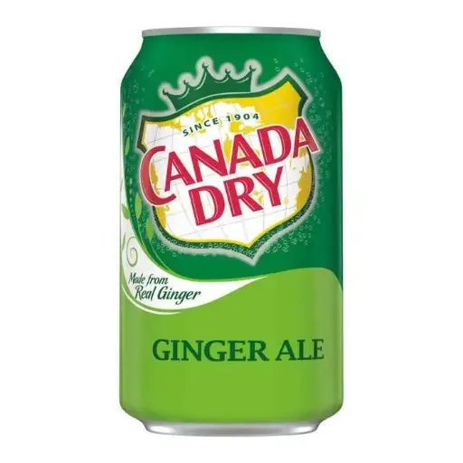 [Temp-INT-01631] CANADA DRY GINGER ALE GREEN CAN 24/12OZ