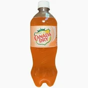 [Temp-INT-01634] CANADA DRY PEACH 20 OZ/ 24CT