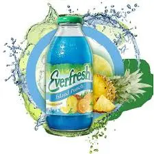 [Temp-INT-02242] EVERFRESH 16OZ/12PK (ISLAND PUNCH)
